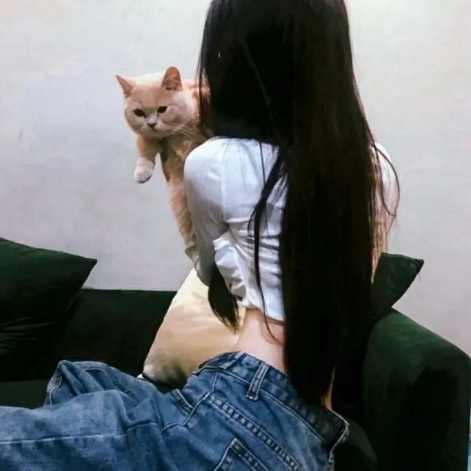 昆仑劫之鲛人泪
